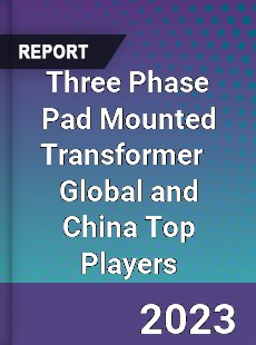 Three Phase Pad Mounted Transformer Global and China Top Players Market
