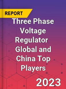Three Phase Voltage Regulator Global and China Top Players Market