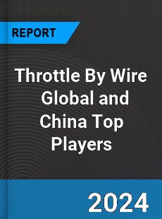 Throttle By Wire Global and China Top Players Market