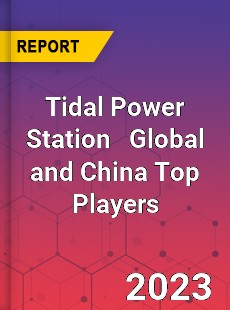Tidal Power Station Global and China Top Players Market
