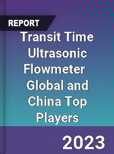 Transit Time Ultrasonic Flowmeter Global and China Top Players Market