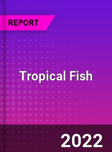 Tropical Fish Market