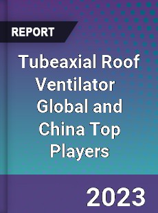 Tubeaxial Roof Ventilator Global and China Top Players Market