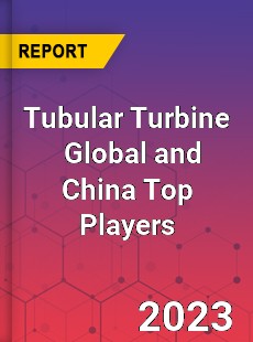 Tubular Turbine Global and China Top Players Market
