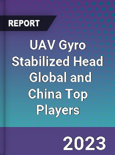 UAV Gyro Stabilized Head Global and China Top Players Market