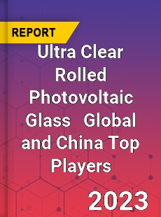 Ultra Clear Rolled Photovoltaic Glass Global and China Top Players Market