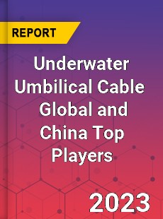 Underwater Umbilical Cable Global and China Top Players Market