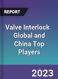 Valve Interlock Global and China Top Players Market