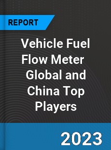 Vehicle Fuel Flow Meter Global and China Top Players Market