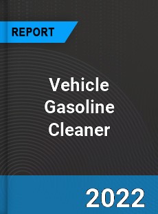 Vehicle Gasoline Cleaner Market