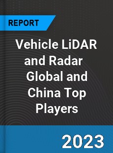 Vehicle LiDAR and Radar Global and China Top Players Market