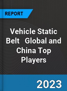 Vehicle Static Belt Global and China Top Players Market