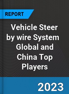 Vehicle Steer by wire System Global and China Top Players Market