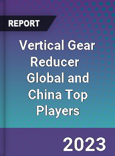 Vertical Gear Reducer Global and China Top Players Market
