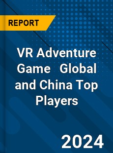 VR Adventure Game Global and China Top Players Market