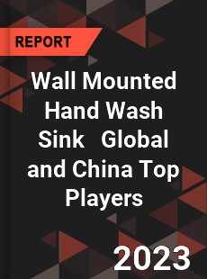 Wall Mounted Hand Wash Sink Global and China Top Players Market