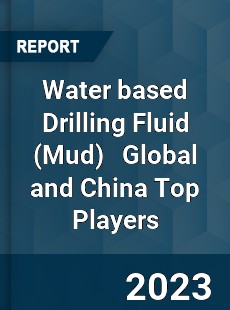 Water based Drilling Fluid Global and China Top Players Market