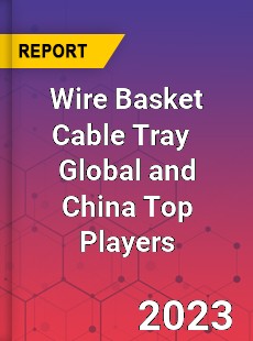 Wire Basket Cable Tray Global and China Top Players Market