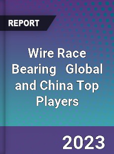 Wire Race Bearing Global and China Top Players Market