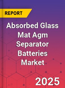 Worldwide Absorbed Glass Mat Agm Separator Batteries Market