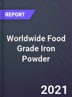 Food Grade Iron Powder Market