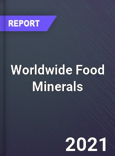 Food Minerals Market