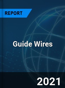 Worldwide Guide Wires Market
