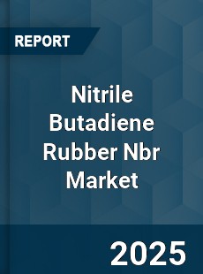Nitrile Butadiene Rubber Nbr Market