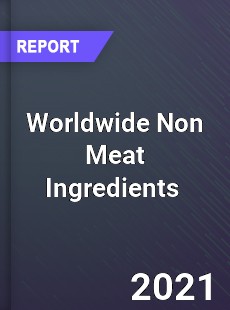 Worldwide Non Meat Ingredients Market