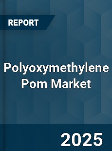 Polyoxymethylene Pom Market