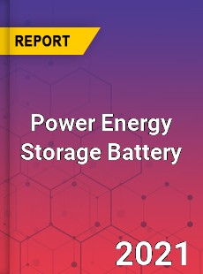 Worldwide Power Energy Storage Battery Market