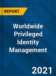 Worldwide Privileged Identity Management Market