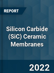 Worldwide Silicon Carbide Ceramic Membranes Market