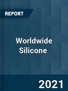 Worldwide Silicone Market