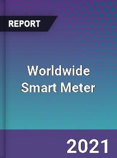 Worldwide Smart Meter Market