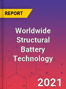 Worldwide Structural Battery Technology Market