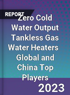 Zero Cold Water Output Tankless Gas Water Heaters Global and China Top Players Market