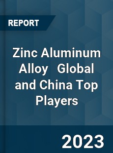 Zinc Aluminum Alloy Global and China Top Players Market