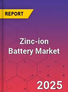 Global Zinc ion Battery Industry